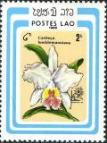 Colnect-2550-054-Cattleya-lueddemanniana.jpg