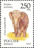 Colnect-2811-717-Asian-Elephant-Elephas-maximus.jpg