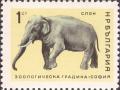 Colnect-3270-881-Asian-Elephant-Elephas-maximus.jpg