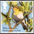 Colnect-4271-519-Willow-Warbler-Phylloscopus-trochilus.jpg