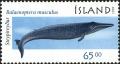 Colnect-5244-279-Blue-Whale-Balaenoptera-musculus.jpg