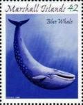 Colnect-6004-536-Blue-Whale-Balaenoptera-musculus.jpg