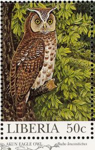 Colnect-1641-806-Akun-Eagle-owl-Bubo-leucostictus.jpg