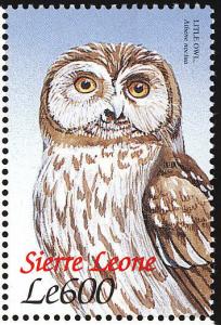 Colnect-1617-985-Little-Owl-Athene-noctua.jpg