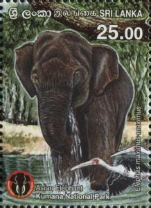 Colnect-5913-586-Asian-Elephant-Elephas-maximus.jpg