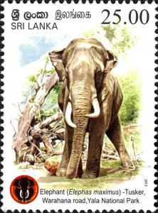 Colnect-2409-598-Asian-Elephant-Elephas-maximus.jpg