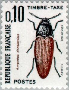 Colnect-147-058-Click-Beetle-Ampedus-cinnabarinus-.jpg