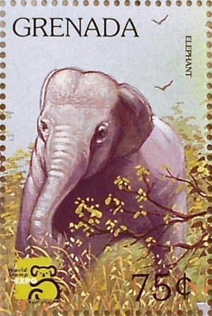Colnect-1205-066-Asian-Elephant-Elephas-maximus.jpg