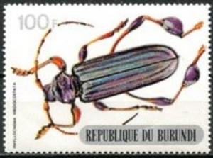 Colnect-2181-135-Longhorn-Beetle-Phyllocnema-viridicostata.jpg