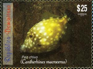 Colnect-3164-514-Whitespotted-Filefish-Cantherhines-macrocerus.jpg
