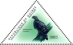 Colnect-3856-463-Crowned-Eagle-Stephanoaetus-coronatus.jpg