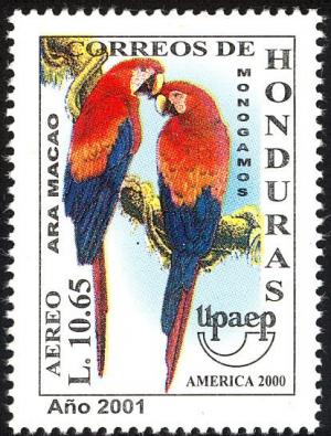 Colnect-4260-463-Scarlet-Macaw-Ara-macao.jpg