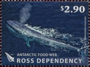 Colnect-4382-385-Blue-Whale-Balaenoptera-musculus.jpg