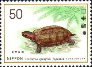Colnect-4560-991-Ryukyu-Black-breasted-Leaf-Turtle-Geomyda-spengleri-japonic.jpg