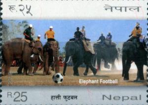Colnect-5842-969-Elephant-Football.jpg