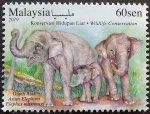 Colnect-5985-271-Asian-Elephant-Elephas-maximus.jpg