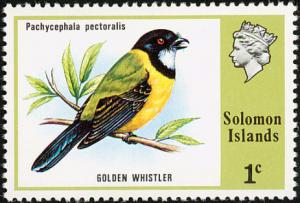 Colnect-772-047-Golden-Whistler-Pachycephala-pectoralis.jpg