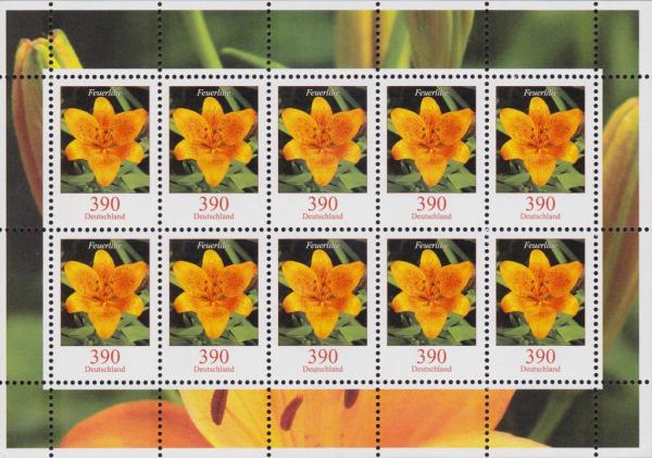 Colnect-4244-627-Flowers---Feuerlile---Fire-lily-Lilium-bulbiferum.jpg