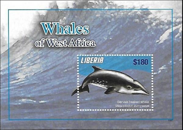 Colnect-7374-173-Whales-of-West-Africa.jpg