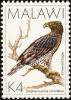 Colnect-864-301-Crowned-Eagle-Stephanoaetus-coronatus.jpg