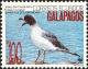Colnect-1724-475-Swallow-tailed-Gull-Creagrus-furcatus.jpg