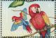 Colnect-1755-595-Scarlet-Macaw-Ara-macao.jpg