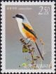 Colnect-3067-352-Long-tailed-Shrike-Lanius-schach.jpg