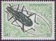 Colnect-310-823-Longhorn-Beetle-Macrochenus-isabellinus-.jpg