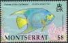 Colnect-1530-058-Queen-Angelfish-Holacanthus-ciliaris.jpg