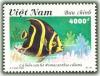 Colnect-1655-150-Queen-Angelfish-Pomacanthus-ciliaris.jpg
