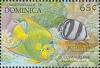 Colnect-2298-753-Queen-Angelfish-Holacanthus-ciliaris.jpg
