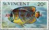 Colnect-5756-555-Queen-Angelfish-Holacanthus-ciliaris.jpg