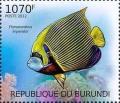 Colnect-3102-365-Emperor-Angelfish-Pomacanthus-imperator.jpg