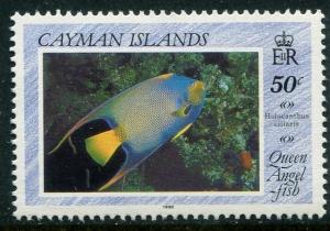 Colnect-1681-447-Queen-Angelfish-Holacanthus-ciliaris.jpg
