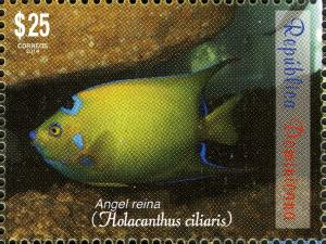 Colnect-3164-506-Queen-Angelfish-Holacanthus-ciliaris.jpg