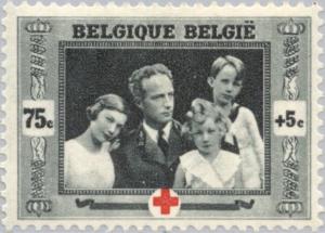 Colnect-183-585-Belgische-Red-Cross.jpg