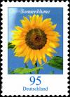 Colnect-5200-222-Harpalium-Cass---Sunflower.jpg