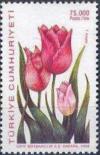 Colnect-776-043-Tulipa-armena-pink.jpg