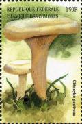 Colnect-3045-412-Clitocybe-geotropa.jpg
