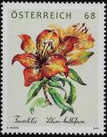 Colnect-3132-261-Orange-Lily-Lilium-bulbiferum.jpg