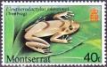 Colnect-3137-986-Lesser-Antillean-Whistling-Frog-Eleutherodactylus-johnstone.jpg