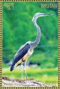 Colnect-3781-755-White-bellied-Heron-Ardea-insignis.jpg