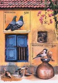 Colnect-1389-280-Rock-Pigeon-Columba-livia-House-Sparrow-Passer-domesticu.jpg