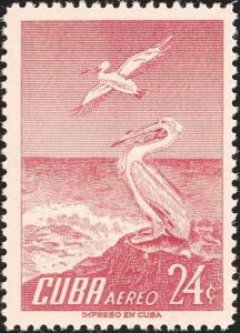 Colnect-894-443-American-White-Pelican-Pelicanus-erythrorhynchus.jpg
