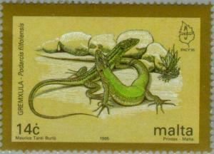 Colnect-131-197-Maltese-Wall-Lizard-Podarcis-filfolensis.jpg