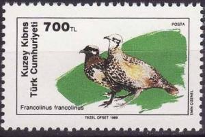 Colnect-1687-287-Black-Francolin-Francolinus-francolinus.jpg