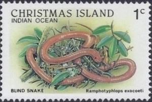 Colnect-2753-195-Christmas-Island-Blind-Snake-Ramphotyphlops-exocoeti.jpg