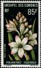Colnect-791-274-Polianthes-tuberosa.jpg