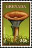 Colnect-3073-685-Clitocybe-geotropa.jpg