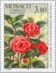 Colnect-149-871-Camellia---Double-Rouge--.jpg